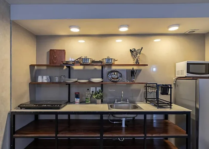 Apartment Sunny With Rooftop In Roma Norte