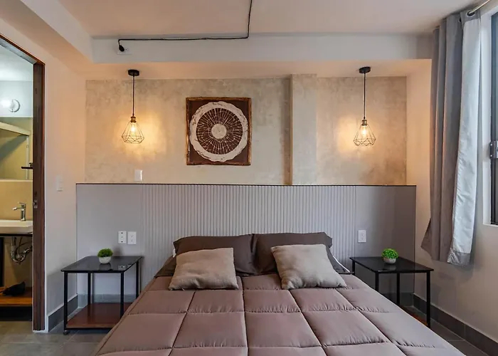 Sunny With Rooftop In Roma Norte Apartment