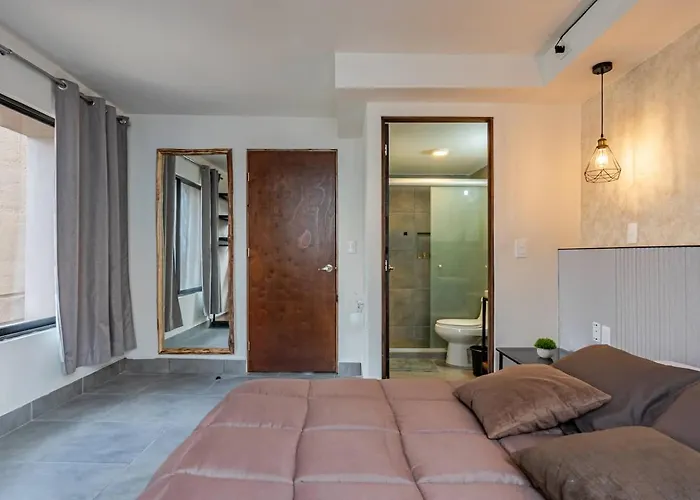 Apartment Sunny With Rooftop In Roma Norte Mexico City