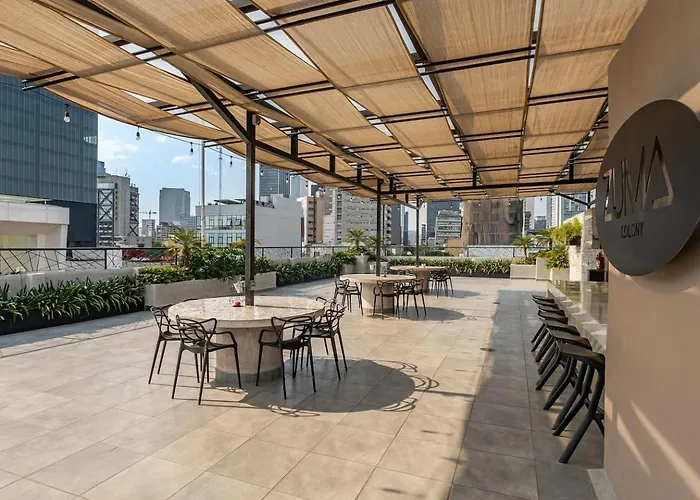 Sunny With Rooftop In Roma Norte Mexico City