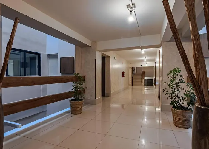 Sunny With Rooftop In Roma Norte Apartment